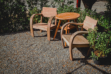 后院热带花园的旧木椅图片