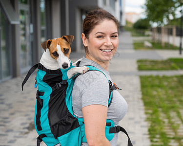 白种女人在户外散步 带着狗杰克罗塞尔特瑞尔 在特别的背包里女孩街道友谊职业女性宠物运输配件小狗城市图片