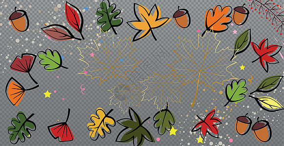 秋红叶和黄叶 网络模板透明背景  矢量卡片橙子金子植物框架墙纸橡木枫叶边界季节图片