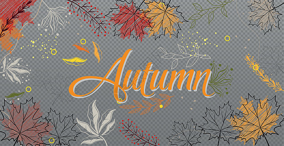 秋季背景假 网络模板透明背景  矢量 R橡木框架金子季节枫叶橙子植物群边界墙纸植物学图片