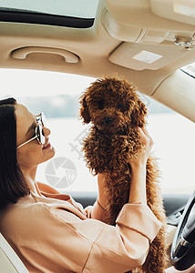 年轻的黑发女人是红发狗玩具贵宾犬的快乐主人 成年女孩带着她的四只爪子宠物坐在车里女士小狗贵宾动物女性运输宾犬图片