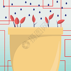 花草和草药由从上到下滴水冲刷 液体在大植物池中灌注 新鲜的种子强化了容器边缘的叶子植物学生长墙纸绿色环境图形蓝色计算机花盆季节图片