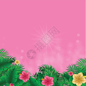 在粉红背景上孤立的绿色热带植物树枝和树叶图片