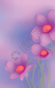 含有糊面颜色的春花背景邀请函框架插图季节花瓣横幅花园婚礼叶子紫色图片