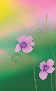 含有糊面颜色的春花背景紫色墙纸框架花束插图季节婚礼蓝色花园水彩图片