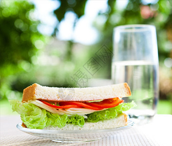 奶酪和蔬菜三明治     健康零食和自制食品型概念美食食物烹饪奶油菠菜午餐包子燕麦小吃小麦图片