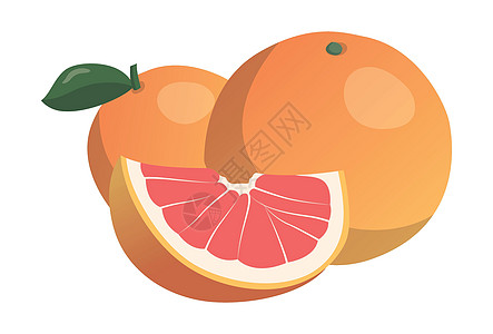 在白色背景上与世隔绝的现实新鲜成熟的葡萄园     矢量热带收藏叶子橙子饮食植物花园柚子插图食物图片