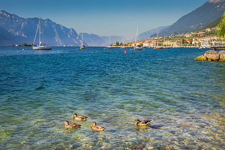 意大利北部马尔塞辛的加尔达海岸 带帆船游艇城市全景文化摄影蓝色风景港口旅游村庄码头背景图片