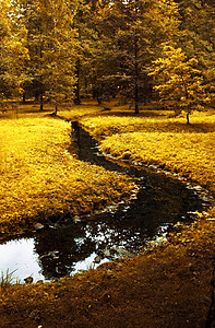 秋天风景 秋天秀丽自然和环境概念森林公园下雨季节天空岩石树木农村旅行山脉图片
