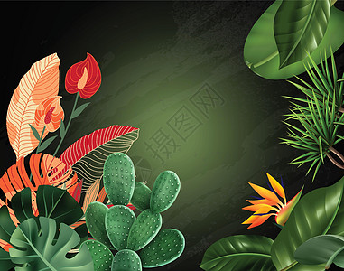 热带植物花叶用黑板叶图片