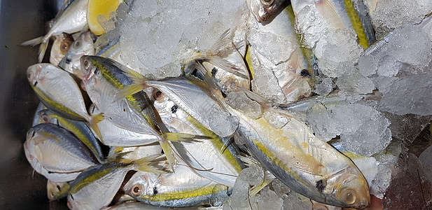 生鲜鱼 黄色带状 trevally 光滑尾部 trevally菜单市场黄条海鲜美食柠檬尾鲹尾巴细长鲹食物背景图片