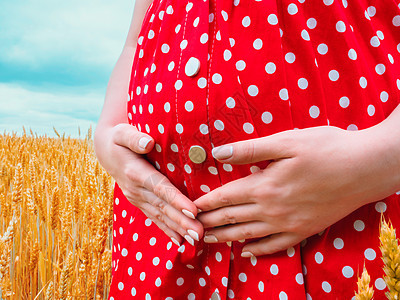 身着Polka点红礼服的孕妇无法辨认 她们站在小麦田里 抱着肚子图片