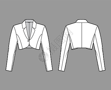 Bolero 夹克技术时装图解 包括作物腰长 长袖 有标记的项圈 特写按钮衬衫棉布衣领男生派对女士插图开襟衫女性艺术图片