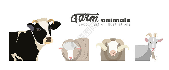 马 牛 山羊 绵羊和 Ram 插图奶牛奶制品羊毛谷仓乡村国家小牛动物配种农村图片