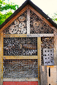 挂在树上的木制昆虫屋瓢虫多样性公园盒子竹子动物住房蝴蝶野生动物木头图片