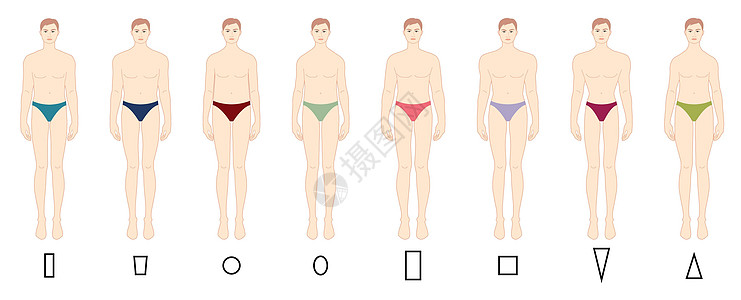 男士内裤体型类型集 三角形 柱形 梯形 圆形 椭圆形 正方形 倒三角形 男性图片