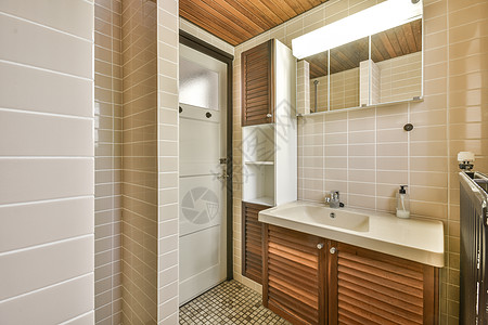 现代有厕所的轻便卫生间内部白色淋浴陶瓷洗澡浴缸洗手间房子卫生制品建筑学图片