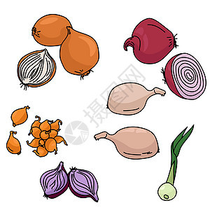 一套不同种类的洋葱 健康的蔬菜和餐具配菜品;图片