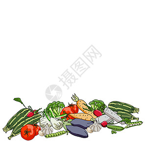 蔬菜收获 带各种季节性蔬菜的幻灯片 矢量图示和矢量图画图片