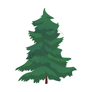 白色背景上孤立的实实在在稠密的绿色生温  矢量卡通片木头绘画植物植物学针叶树松树树干收藏植物群图片