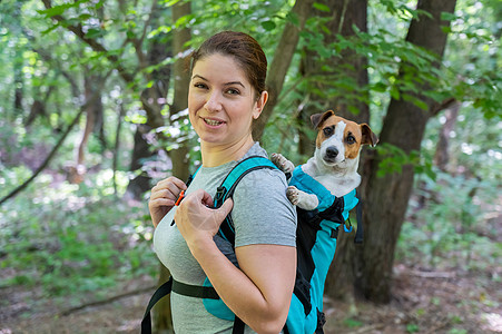 白种女人在户外散步 带着狗杰克罗塞尔特瑞尔 在特别的背包里配件冒险街道鼻子宠物森林公园女孩友谊运输图片