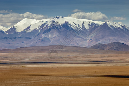 阿塔卡马沙漠 南美智利北部火山干旱地貌和南美洲景观摄影目的地普纳全景生态旅游旅游高原天空荒野图片