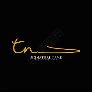 字母 TN 签名标签模板矢量团队极简主义者商业标识身份刻字写作插图夫妻图片
