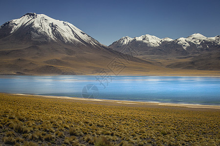 智利阿塔卡马沙漠的盐湖 火山景观地标全景风景旅游国家高原爬坡蓝色荒野草原图片