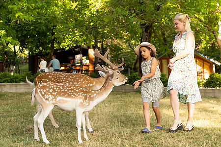 女孩和鹿一位年轻女孩喂鹿拥抱他的照片动物生活晴天喜悦公园关怀童年孩子娱乐食物背景