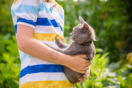 男孩怀着很多爱拥抱猫 亲近小猫的肖像 在乡村与猫玩弄猫游戏图片