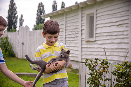 男孩怀着爱拥抱一只猫 两个兄弟的肖像k图片