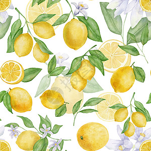含叶子和花水的柠檬水果 彩色无缝模式图片