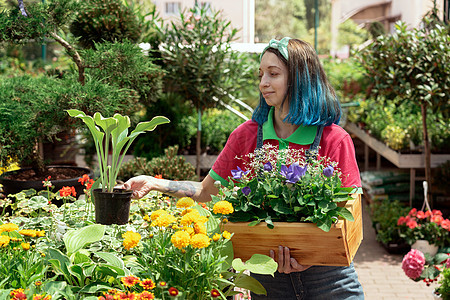 在花园商店工作并安排花盆的花店家女性植物群成人绿色植物学店铺盆栽温室中心园艺图片