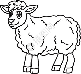 供儿童使用的羊羊动物孤立颜色页面羊肉填色动物园绘画教育婴儿孩子们母羊学校手绘背景图片