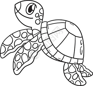 儿童孤立海龟动物彩色页面图片