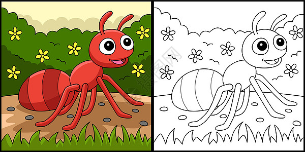 蚂蚁动物颜色页面彩色说明图片