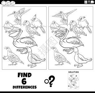 与动漫鸟动物彩色页面的差别游戏图片