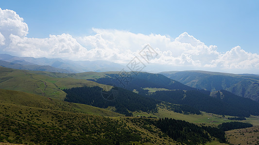 绿色山丘和高山上大白云荒野太阳峡谷森林射线松林天空环境旅行顶峰图片