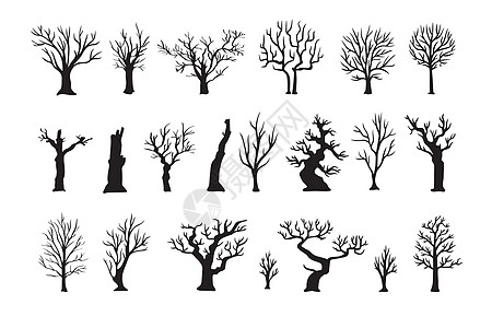 休眠枯树系列 白色背景的黑树绘画插图木头黑色森林收藏卡片艺术季节植物图片