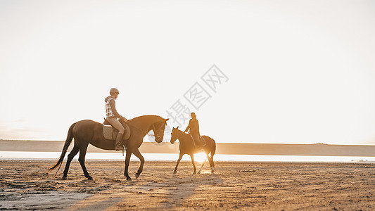在金色的日落或日出时 妇女沿河骑着马 在沙漠中行走的战利品出现在水边场地动物跑步草地家畜鬃毛农场自然马术哺乳动物图片