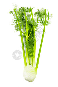 孤立的跟踪凯勒里 新鲜的白色背景的跟踪凯勒里产品烹饪树叶团体植物绿色叶子拼贴画芹菜蔬菜图片