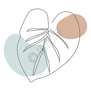 植物树叶线艺术 轮廓绘画 最小化艺术草图叶子插图图片