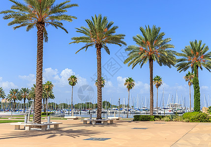 美国佛罗里达州圣彼得堡有游艇的海湾景观建筑学英石海岸天际帆船码头热带港口城市图片
