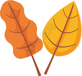 秋叶对象剪辑 Birch和橡树图标叶子桦木橙子卡通片插图橡木森林黄色植物图片
