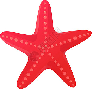 红海星贝壳 海滩剪贴画 海洋恒星元素概念 以平板卡通风格在白色背景上孤立的种群矢量图图片