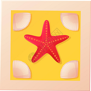 红海星贝壳照片 海滩剪贴画 海洋恒星元素概念 以平板卡通风格在白色背景上孤立的种群矢量图图片