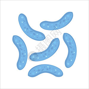 双歧杆菌 双歧杆菌的象征 可用于酸奶网页横幅 医学 微生物学 发酵概念 在平面卡通风格的白色背景上孤立的股票矢量插图图片