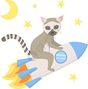 可爱的狐猴在星星间乘坐火箭飞行 Cn 可用作幼儿园海报 墙上的贴纸 在平面卡通风格的白色背景上孤立的种群矢量图图片