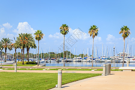 美国佛罗里达州圣彼得堡有游艇的海湾建筑学海岸棕榈港口景观英石天际码头帆船热带图片