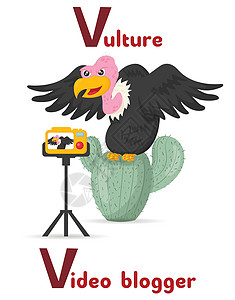 拉丁字母ABC动物职业 从信件诉秃鹫视频博客卡通风格开始 (笑声)图片
